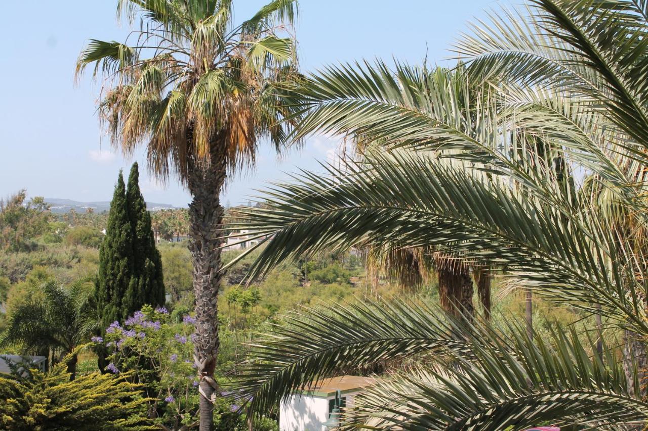 New View Sotogrande Marina - Jungla Del Loro Apartment Luaran gambar